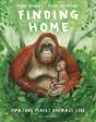 Finding Home - Preview