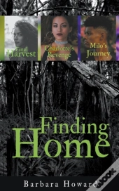 Finding Home Mystery Series