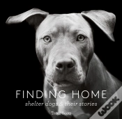 Capa do artigo Finding Home