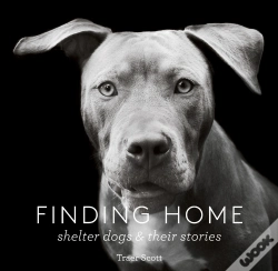 Capa do artigo Finding Home