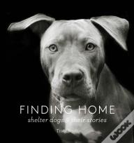 Finding Home