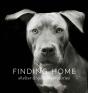Finding Home - Preview