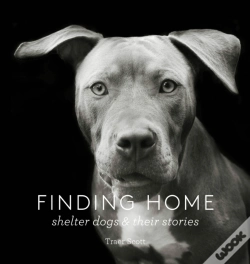 Capa do artigo Finding Home