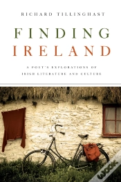 Capa do artigo Finding Ireland