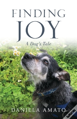 Capa do artigo Finding Joy