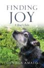 Finding Joy - Preview