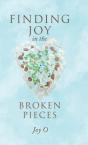 Finding Joy In The Broken Pieces - Preview