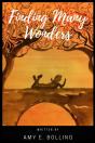 Finding Many Wonders - Preview