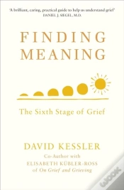 Capa do artigo Finding Meaning
