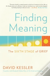 Capa do artigo Finding Meaning