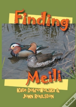 Capa do artigo Finding Meili