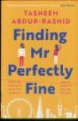 Finding Mr Perfectly Fine - Preview