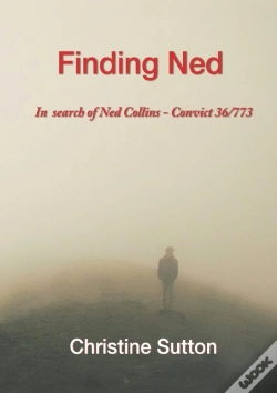 Capa do artigo Finding Ned