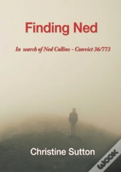 Capa do artigo Finding Ned