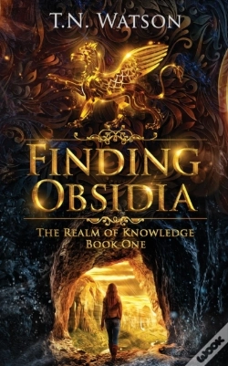 Capa do artigo Finding Obsidia