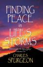 Finding Peace In Life'S Storms - Preview