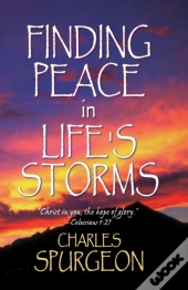 Finding Peace In Life'S Storms