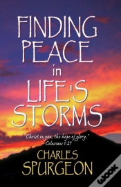 Capa do artigo Finding Peace In Life