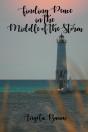 Finding Peace In The Middle Of The Storm - Preview