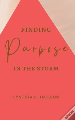 Capa do artigo Finding Purpose In The Storm
