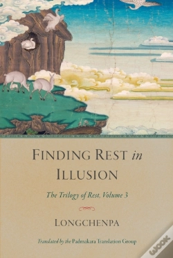 Capa do artigo Finding Rest In Illusion