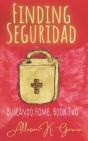 Finding Seguridad - Preview