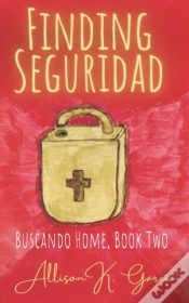 Capa do artigo Finding Seguridad