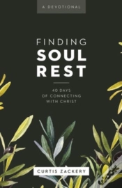 Capa do artigo Finding Soul Rest