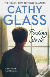 Capa do artigo Finding Stevie