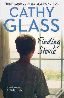 Capa do artigo Finding Stevie