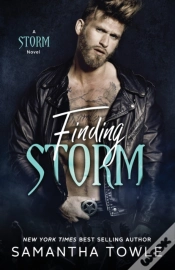 Capa do artigo Finding Storm