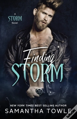 Capa do artigo Finding Storm