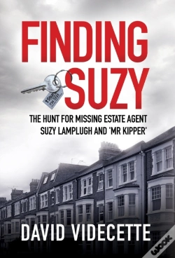 Capa do artigo Finding Suzy