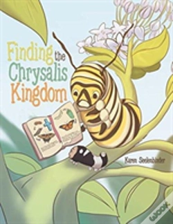 Capa do artigo Finding The Chrysalis Kingdom