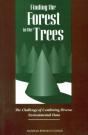 Finding The Forest In The Trees - Preview