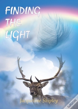 Capa do artigo Finding The Light