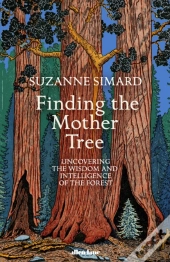 Finding The Mother Tree