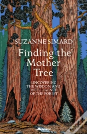 Capa do artigo Finding The Mother Tree