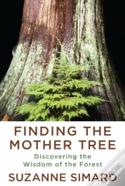 Capa do artigo Finding The Mother Tree