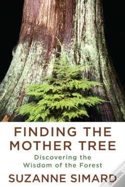Capa do artigo Finding The Mother Tree