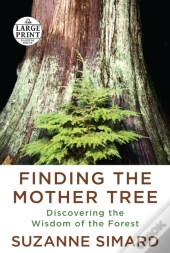 Finding The Mother Tree