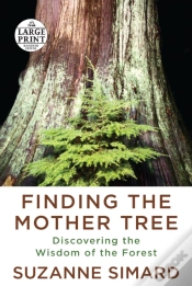 Capa do artigo Finding The Mother Tree