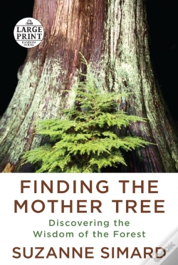 Capa do artigo Finding The Mother Tree