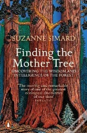 Capa do artigo Finding The Mother Tree