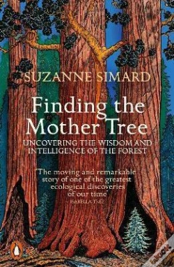 Capa do artigo Finding The Mother Tree
