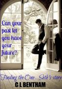 Finding The One...Seth'S Story