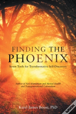 Capa do artigo Finding The Phoenix