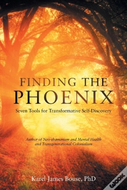 Capa do artigo Finding The Phoenix