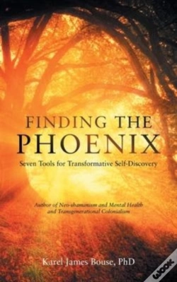 Capa do artigo Finding The Phoenix