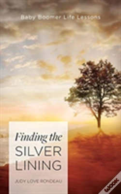 Capa do artigo Finding The Silver Lining
